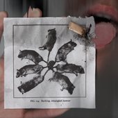 ratking