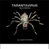 Lu_Ragno Arricchito