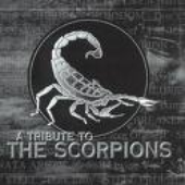 Avatar di Scorpion_93