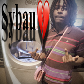 Hi-C Sybau