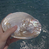PearlCollective 的头像