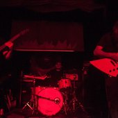 Letharia (USA) 