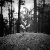 À Bout de Souffle