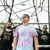 Sintony na Área