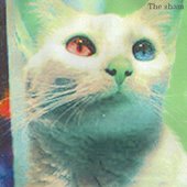 The sham