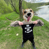 visonickk 的头像