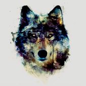 Avatar for sandersonland
