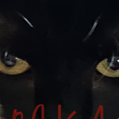 julkiii 的头像