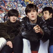 Stone Roses by Ian Tilton