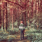 Forest New Half.jpg