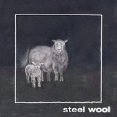 Steel Wool