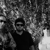 The Woodworks