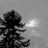 Cascades of Darkness