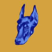 Avatar for skynocerous