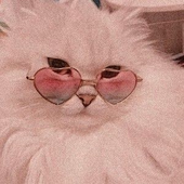 Avatar for rubinrot0