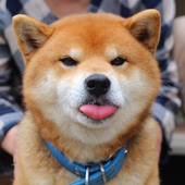 BlurrBurp 的头像