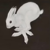 Avatar for kuchen1996