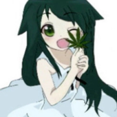 coolcatgirl7384 的头像