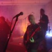torment the vein