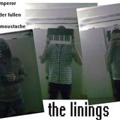 the linings