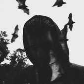 IMG_0294.jpeg