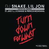 Turn Down For What (Remix) [feat. Juicy J, 2 Chainz & French Montana] - Single