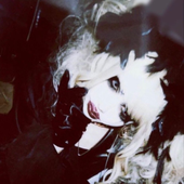 Avatar for dolldizzy
