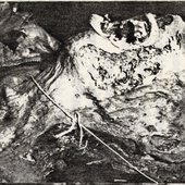 guanajuatomummy
