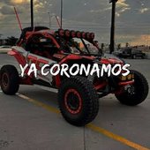IMG_6353.jpeg