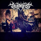 Treibsgeil Treibshart - Triebgeist