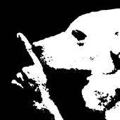 Avatar for CursedConC