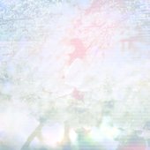 春ＣＯＭＰ2018.jpg
