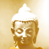 Siddhartta 的头像