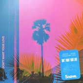 Don't Want Your Love - Single