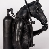 Аватар для ScubaHorse