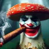 Avatar di c_h_r_o_m_e