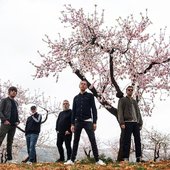 Shed Seven