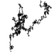 Avatar for WienerProcess