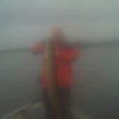 Life In A Boat