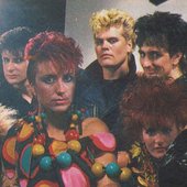 The Revillos