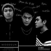 woodgun.jpg