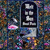 Melt in the Sun