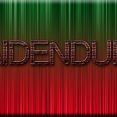 Avatar for RaidenDude