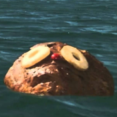 ronjamon 的头像