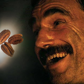 Avatar for pecantrees