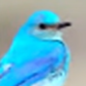 Avatar for QM