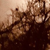 IMG_2865.jpeg