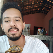 augustocalaca 的头像