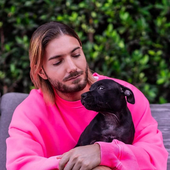 Alesso.png