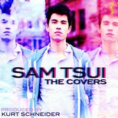 Sam Tsui The Covers